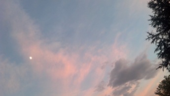 Sky over my backyard
